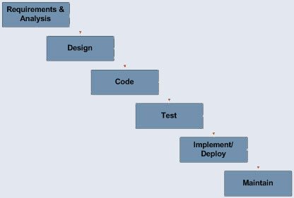 Web Design Process